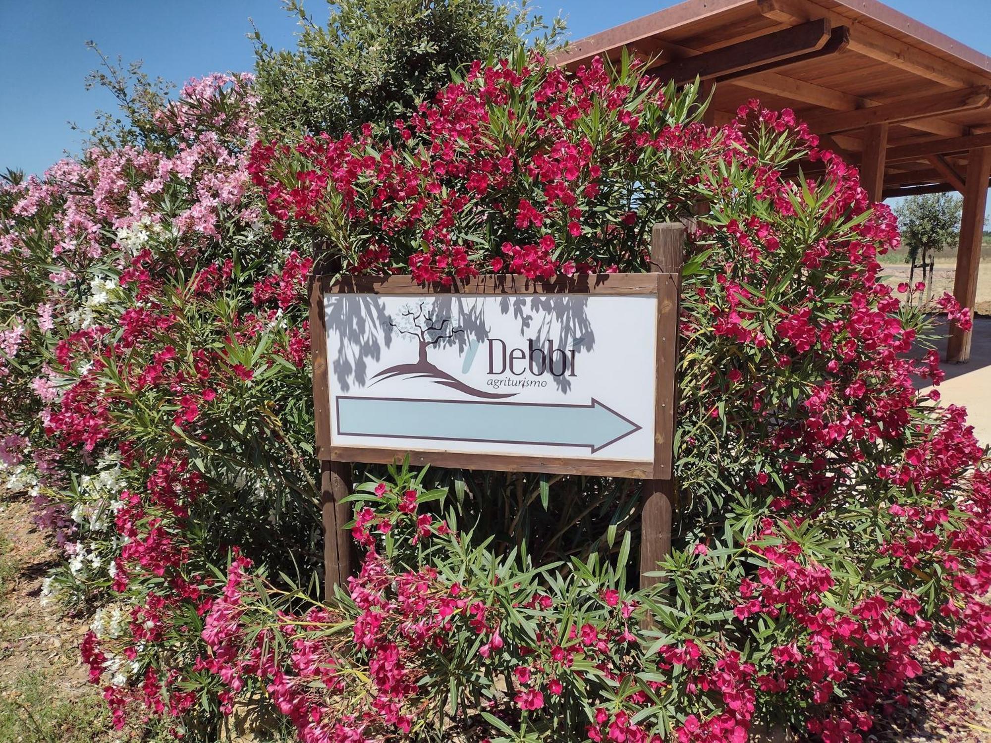 Agriturismo I Debbi Bibbona Bagian luar foto