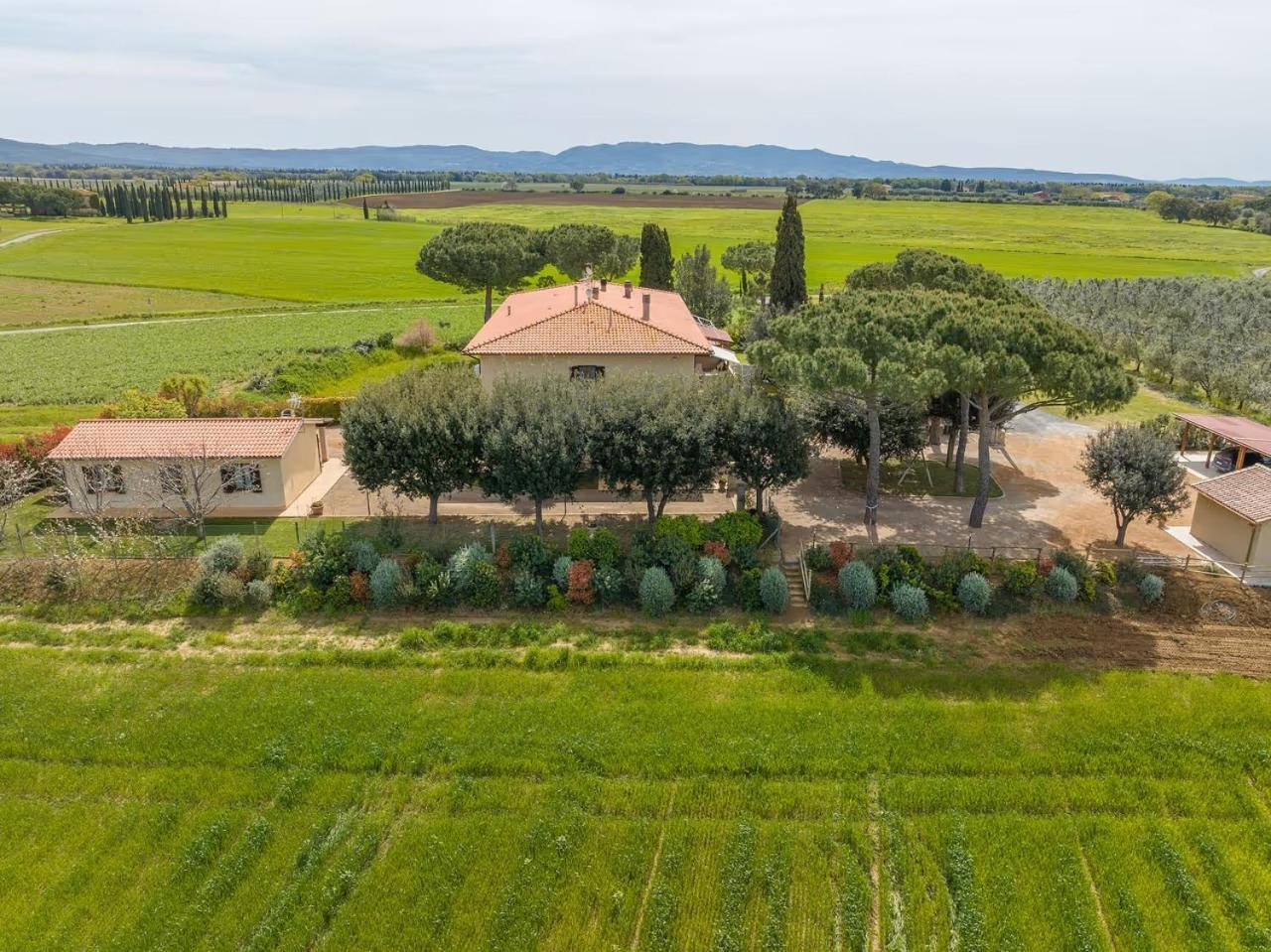 Agriturismo I Debbi Bibbona Bagian luar foto